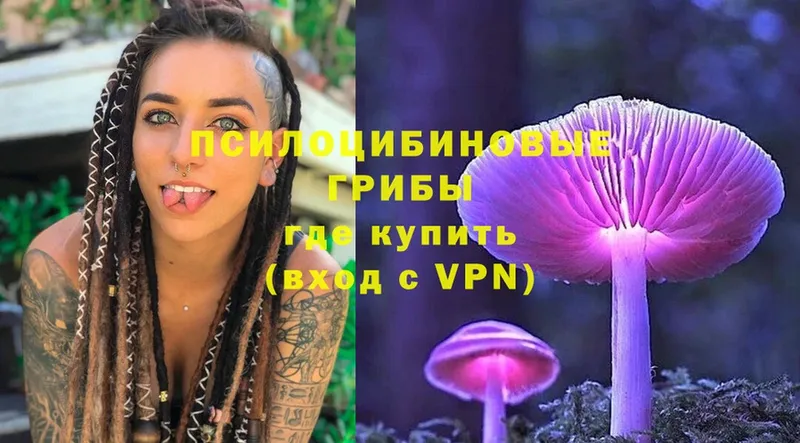 Псилоцибиновые грибы Magic Shrooms  кракен маркетплейс  Стрежевой  купить закладку 